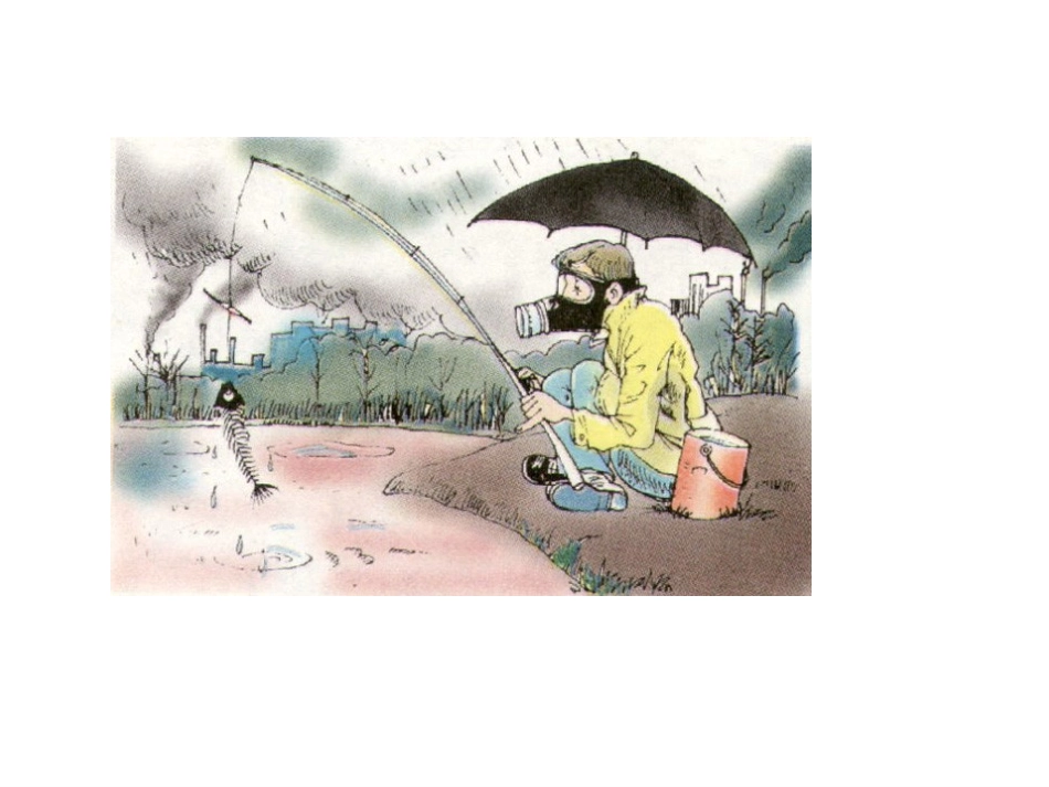 41人类面临的主要环境问题_第3页