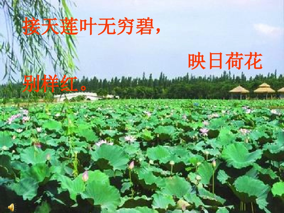 3、《荷花》_第2页