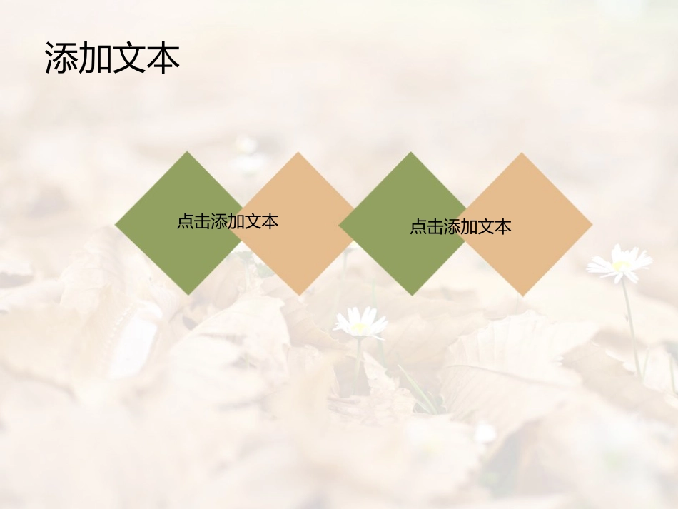 唯美梦幻模板_第3页