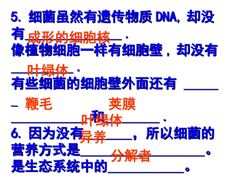 第三节真菌1_第2页