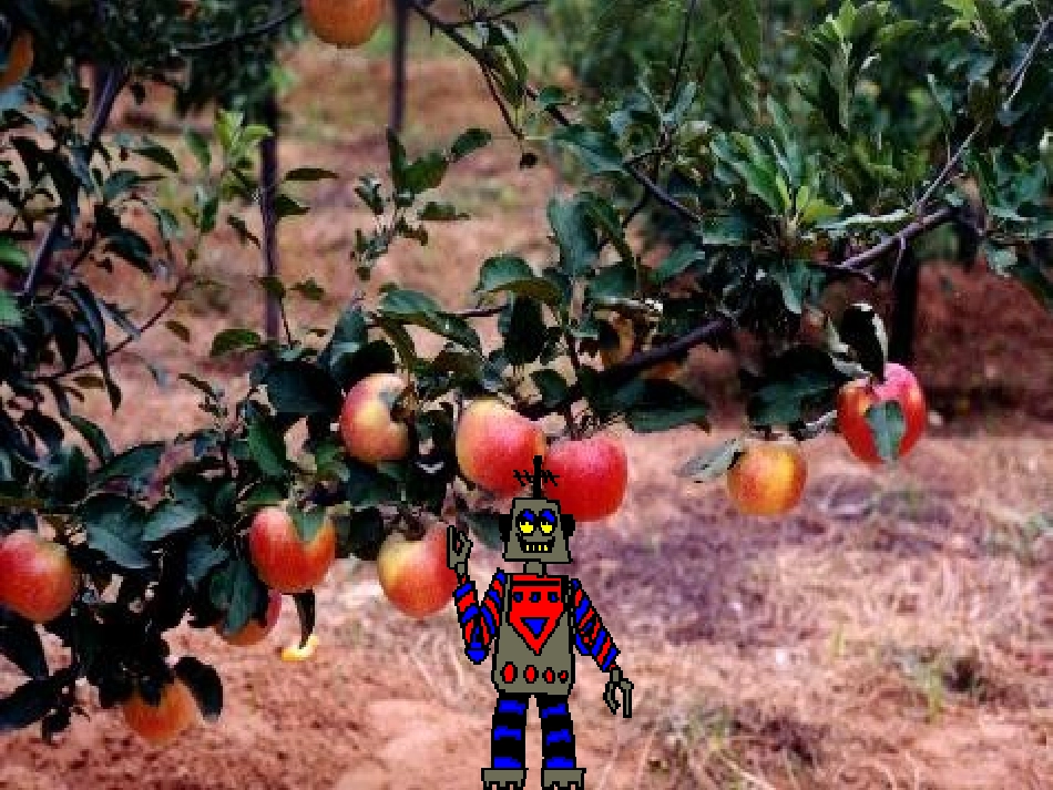 果园机器人9 (2)_第2页