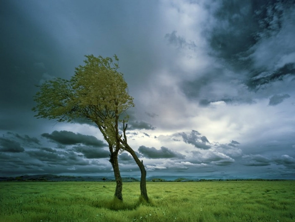 风雨_梁慧做_第1页