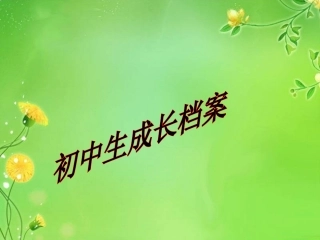 初中生成长档案