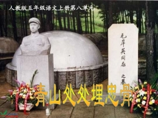 （教科版）四年级语文上册课件青山处处埋忠骨2