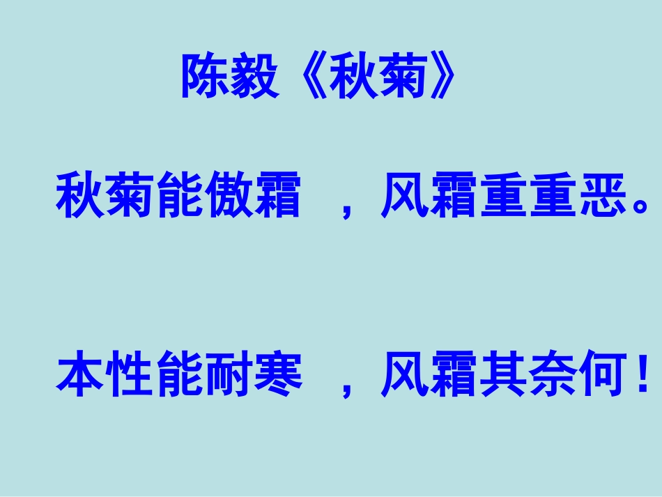 傲霜篇课件1_第1页