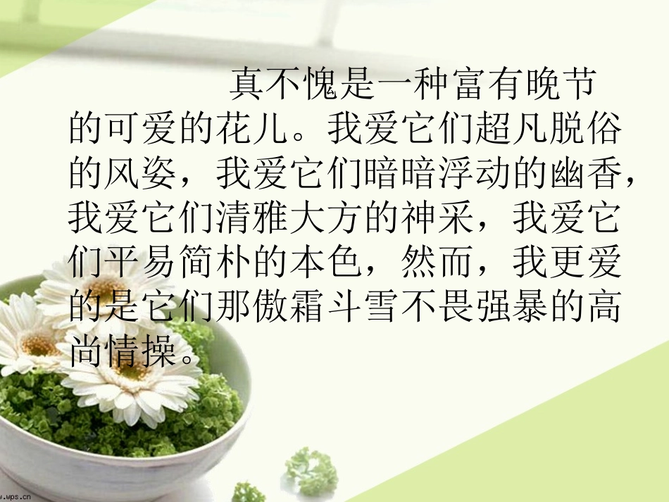 傲霜篇课件1_第2页