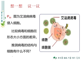 2013版八上55病毒