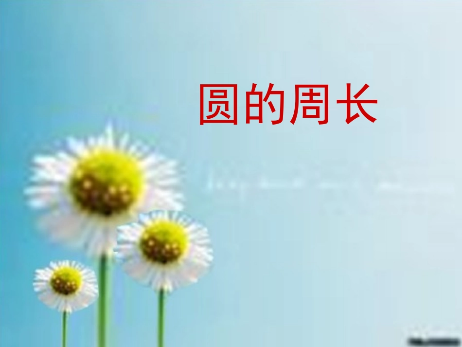 圆的周长PPT_第3页