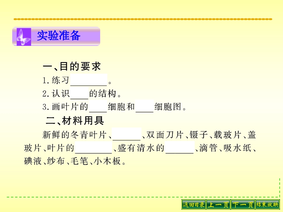 观察叶片的结构_第3页
