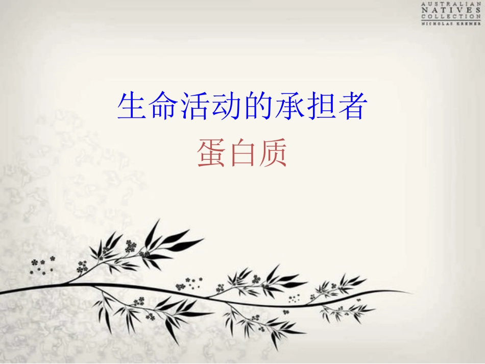 蛋白质复习1_第1页