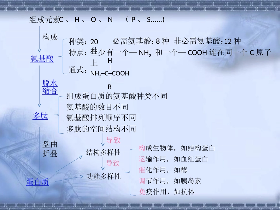蛋白质复习1_第2页