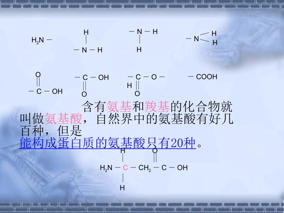 蛋白质复习1_第3页