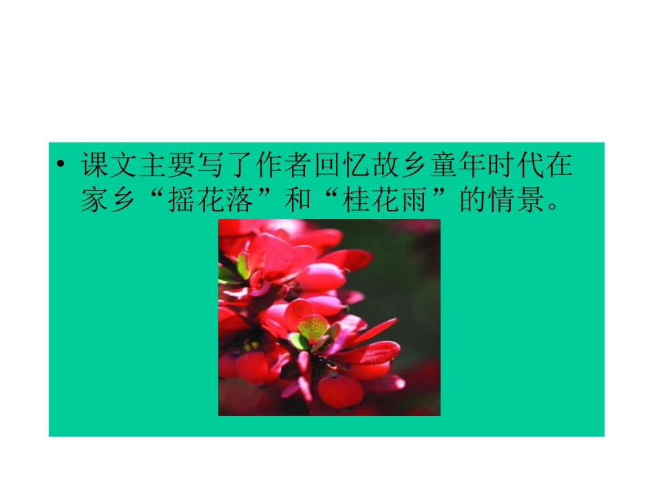 人教版小学语文五年级上册7课《桂花雨》PPT课件_第3页