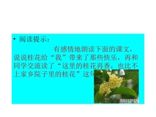 人教版小学语文五年级上册7课《桂花雨》PPT课件