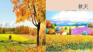 谢露—秋天的雨