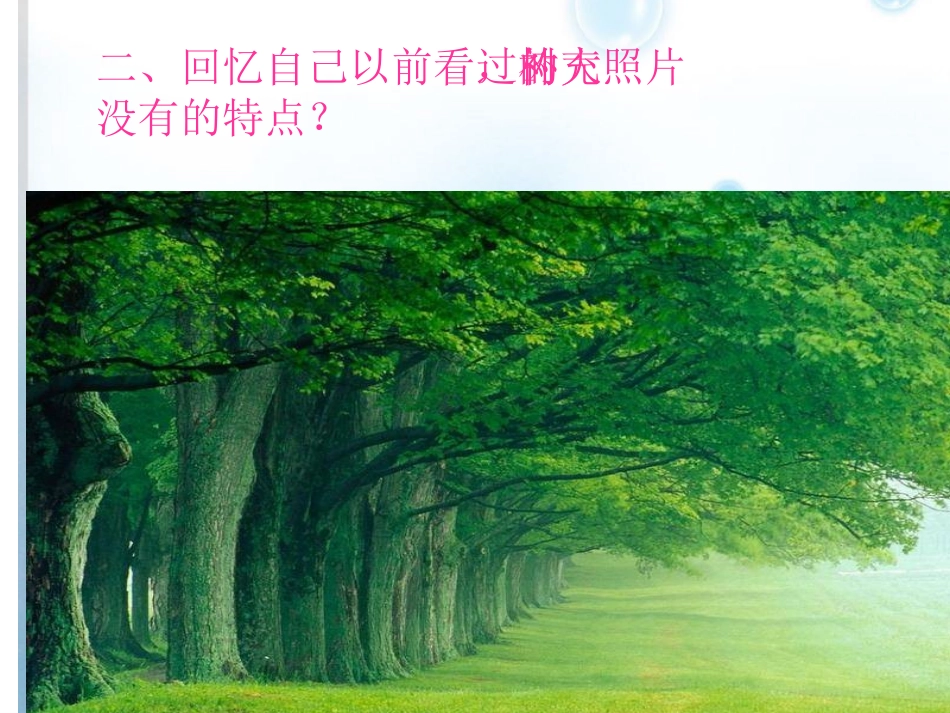 1我看到了什么_第3页