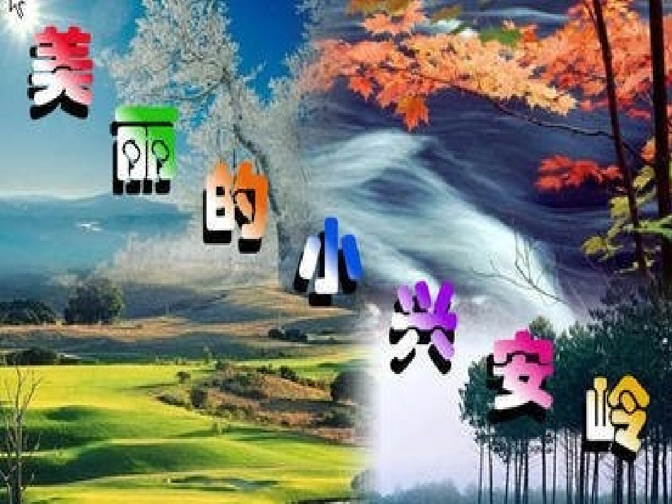 美丽的小兴安岭说课_第1页