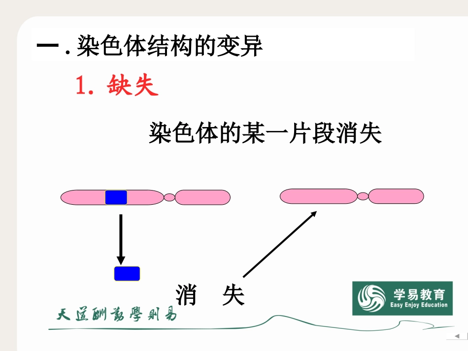 染色体变异 (2)_第2页