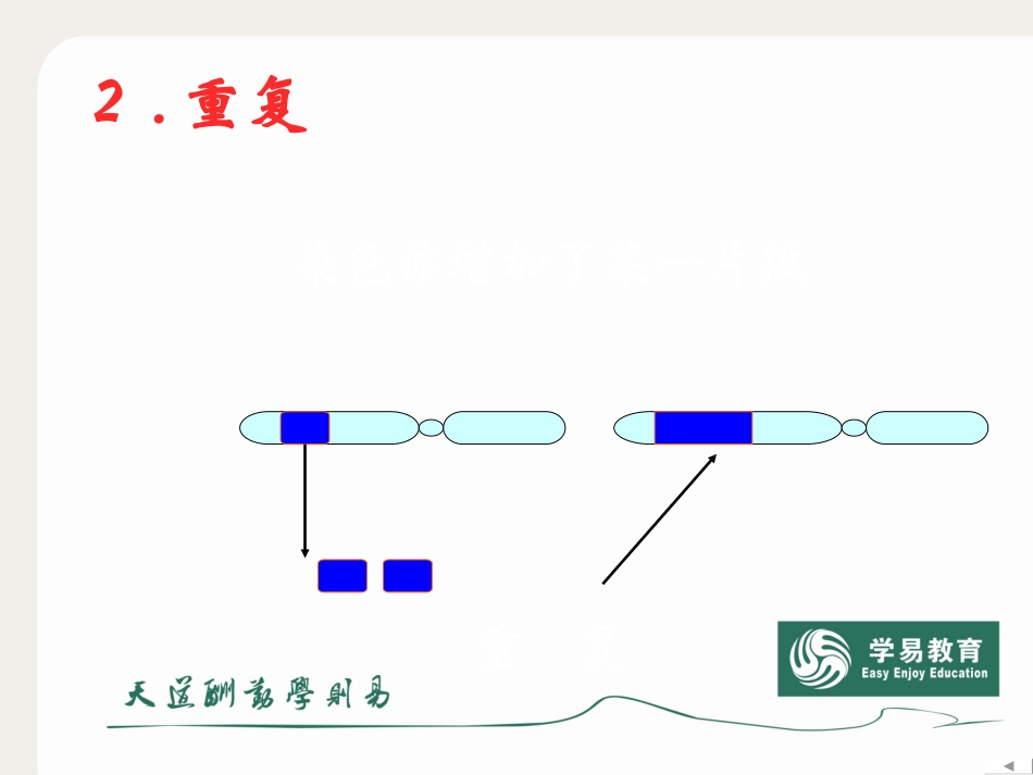 染色体变异 (2)_第3页