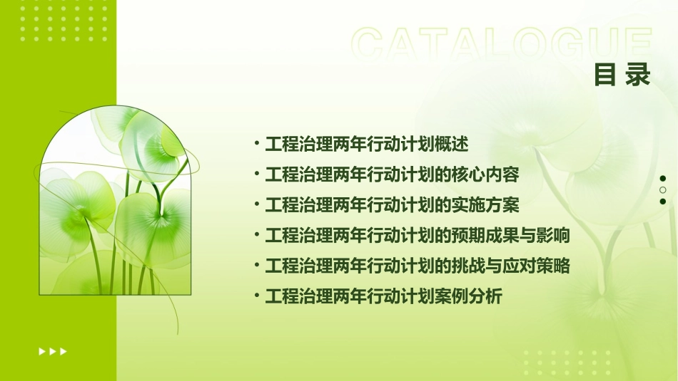 工程治理两年行动课件_第2页