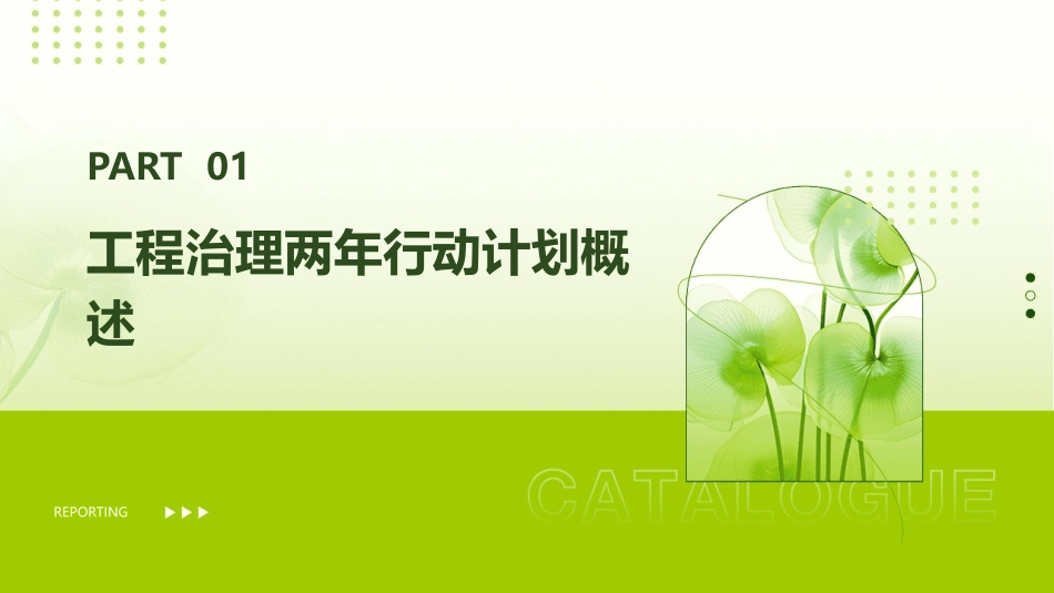 工程治理两年行动课件_第3页