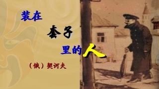 5-1-2装在套子里的人
