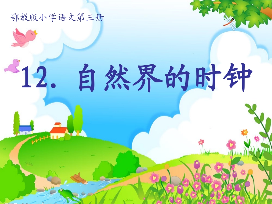 自然界的时钟二上课件_第2页