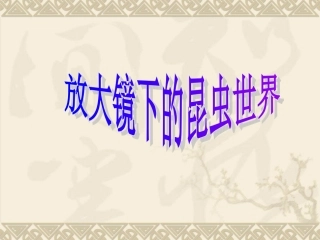 1、2放大镜下的昆虫世界