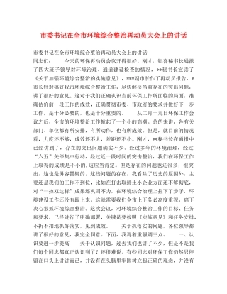 市委书记在全市环境综合整治再动员大会上的讲话2 