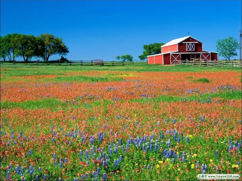彩色的非洲 (4)_第2页