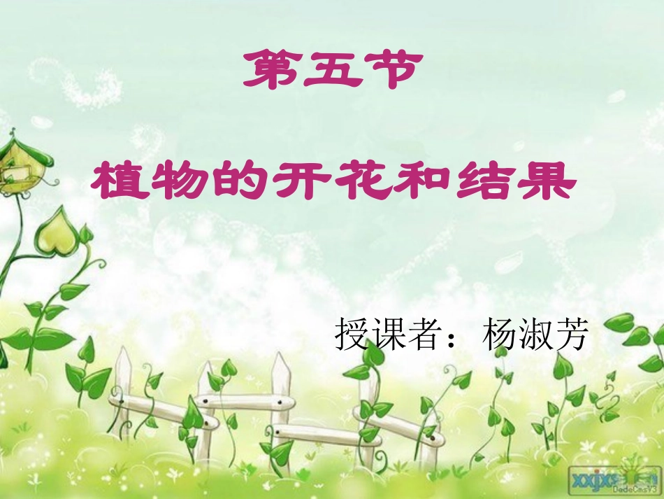 植物的开花课件_第1页