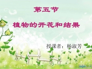 植物的开花课件