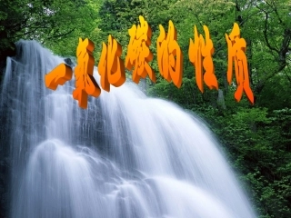 一氧化碳的性质