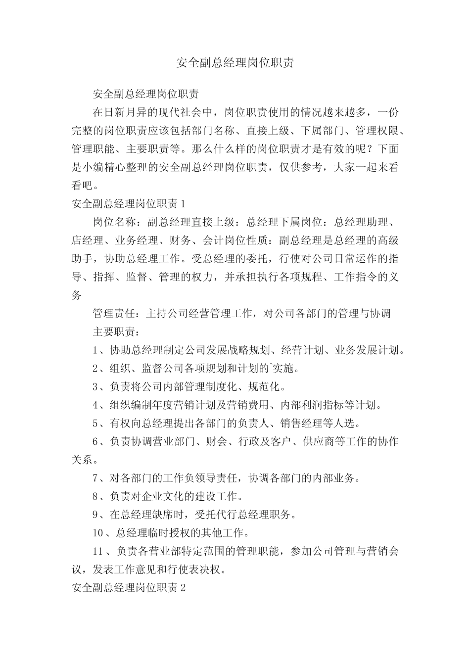 安全副总经理岗位职责 _第1页