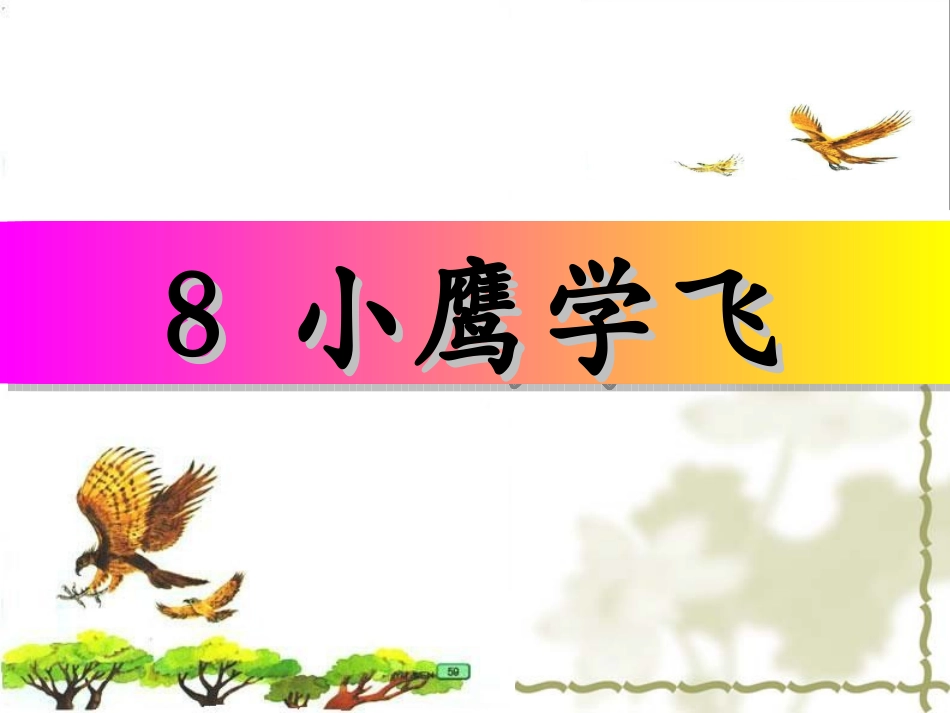 （中小学精品）《小鹰学飞》课件_第1页