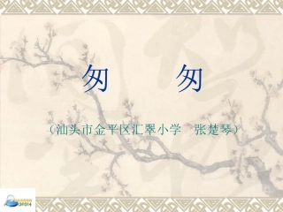 张楚琴《匆匆》