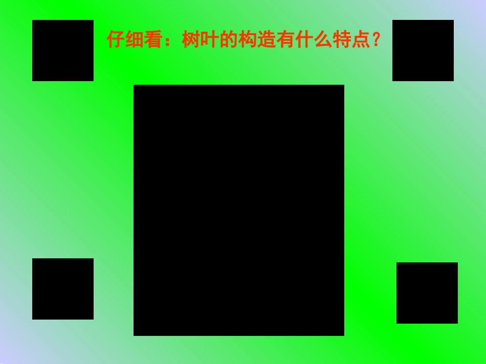 轴对称图形2_第2页