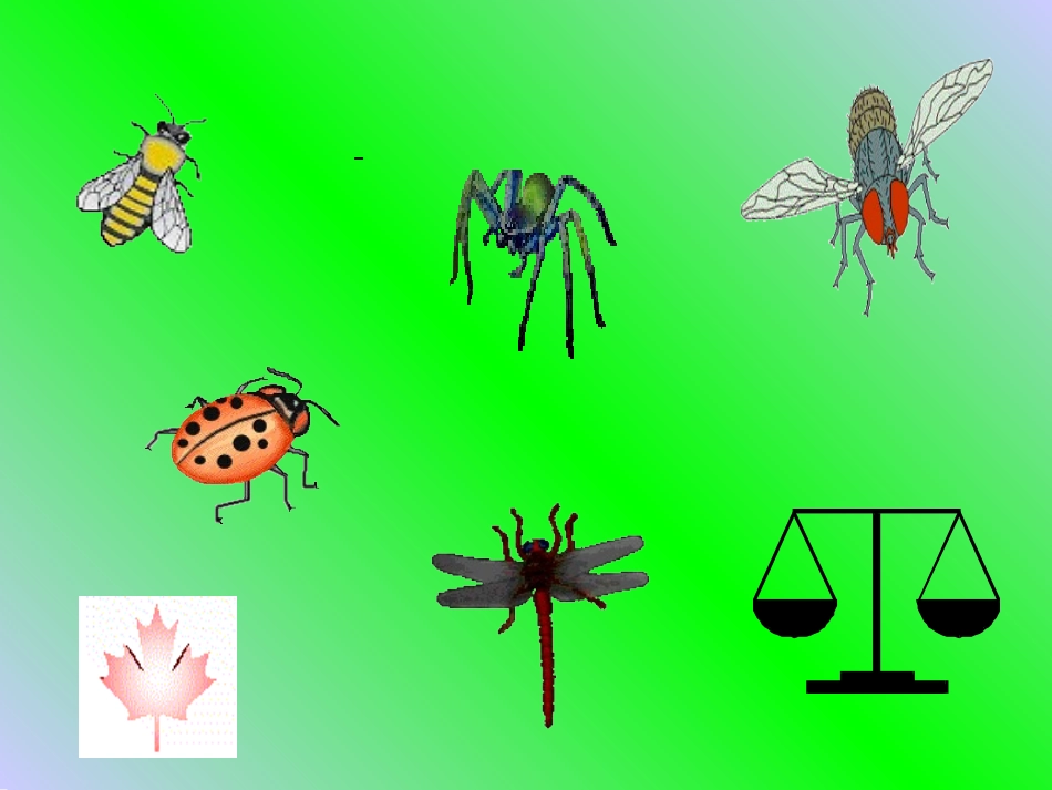 轴对称图形2_第3页