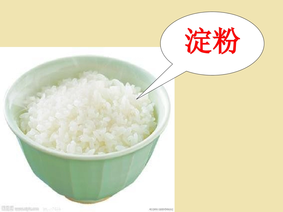 米饭、淀粉和碘酒的变化_第3页