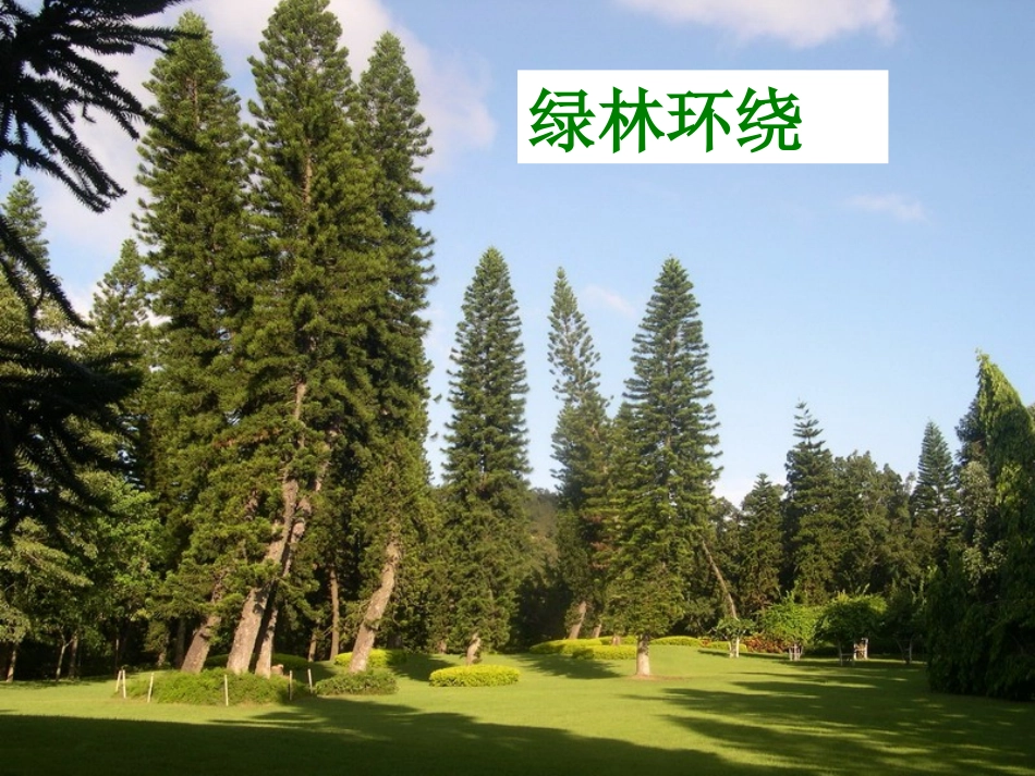 罗布泊消逝的仙湖_(公开课)_第3页