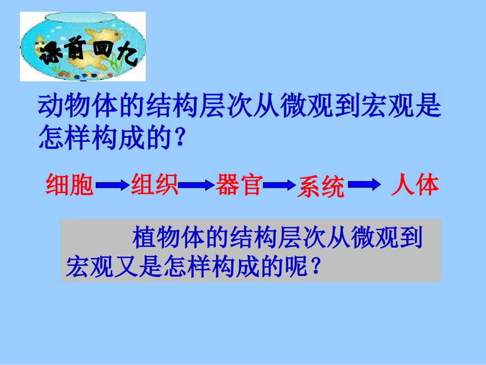 第二单元第三章第二节植物体的结构层次_第2页