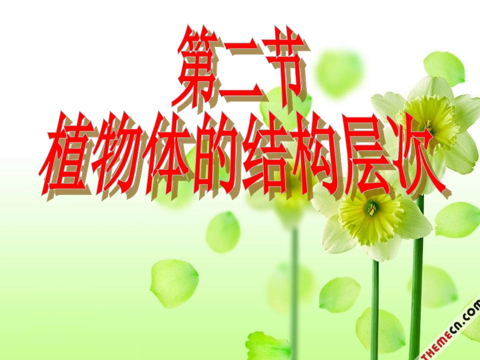 第二单元第三章第二节植物体的结构层次_第3页