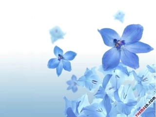 第二单元第三章第二节植物体的结构层次