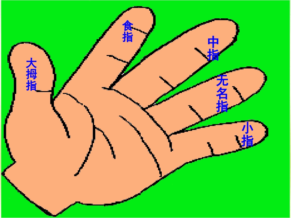 5手指课件6_第2页