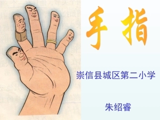 5手指课件6