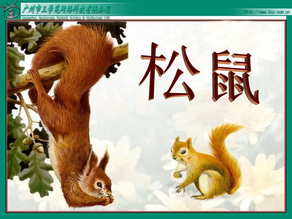 松鼠课件 (3)_第2页