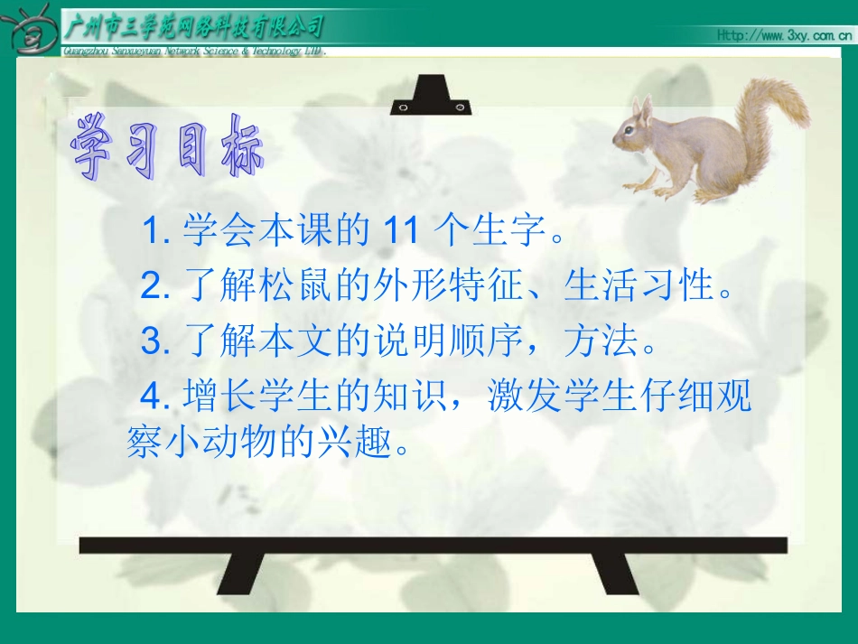 松鼠课件 (3)_第3页