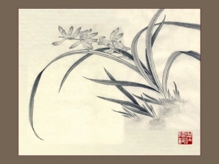 中考语文复习课件 浓缩的精华