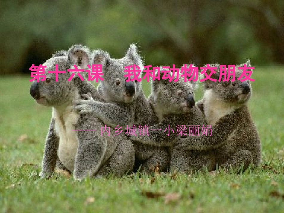 我和动物交朋友_第1页