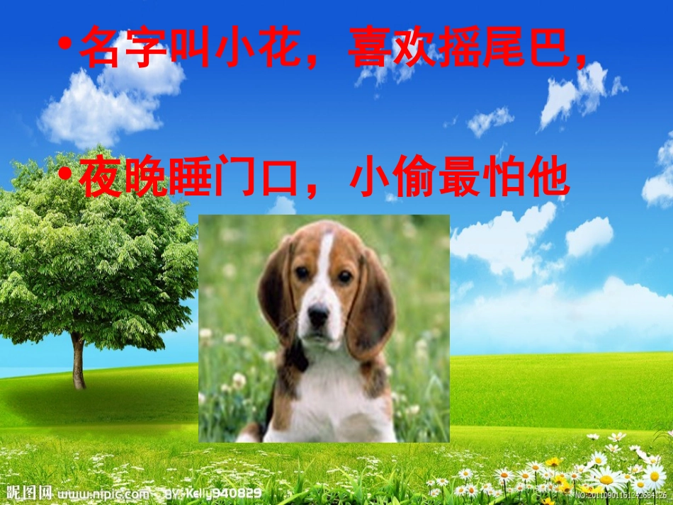 我和动物交朋友_第2页